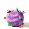 Squeaky Rolling Ball Dog Toy