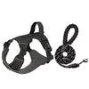 Lightweight Adjustable Nylon Dog Harness with Leash