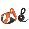 Lightweight Adjustable Nylon Dog Harness with Leash